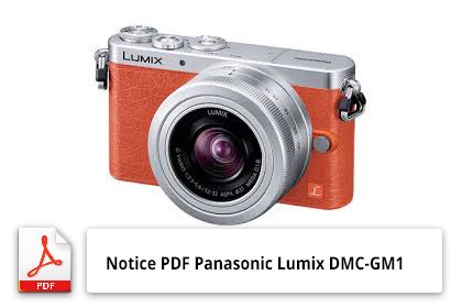 Panasonic Lumix DMC-GM1 PDF fr